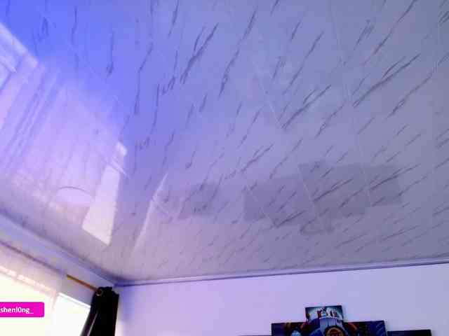 Nicorobin webcam