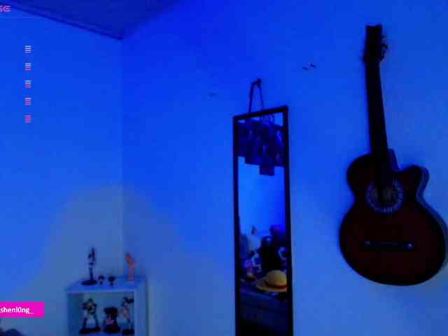 Nicorobin webcam
