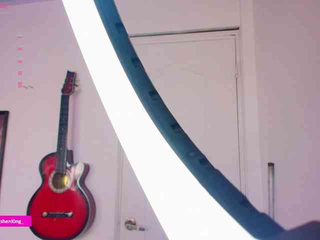 Nicorobin webcam