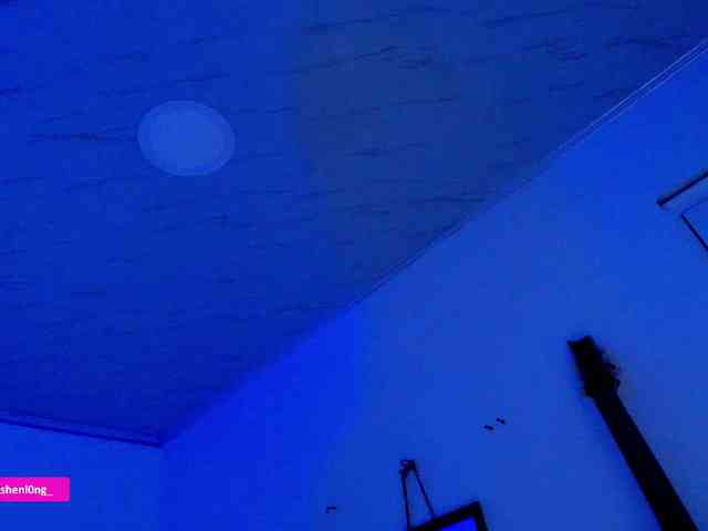 Nicorobin webcam