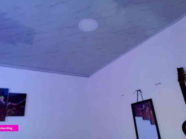 Nicorobin webcam