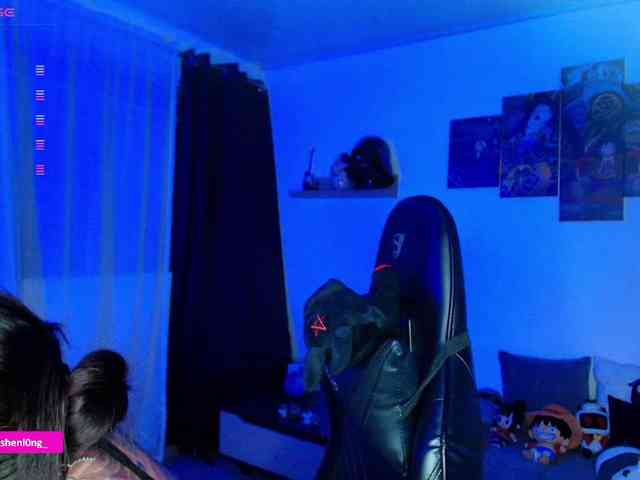 Nicorobin webcam