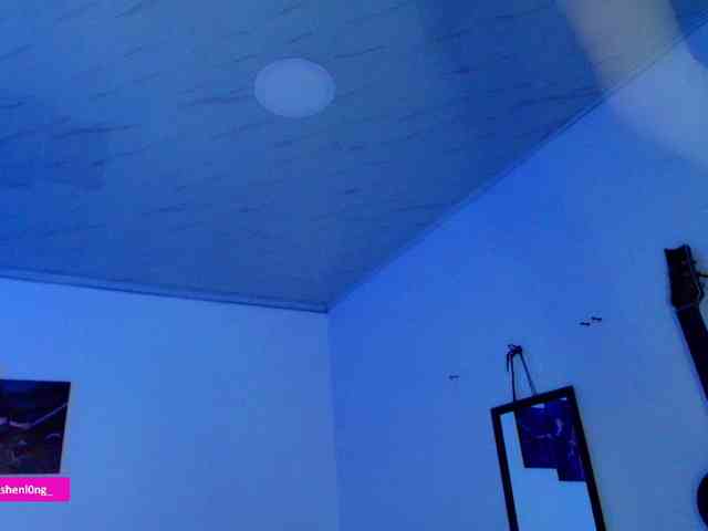 Nicorobin webcam