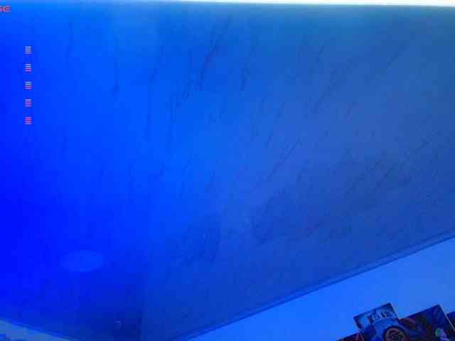 Nicorobin webcam