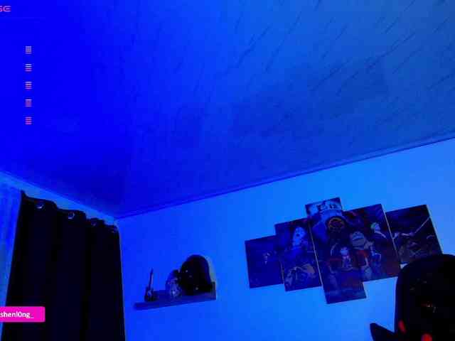 Nicorobin webcam
