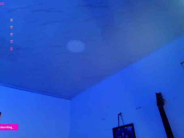 Nicorobin webcam