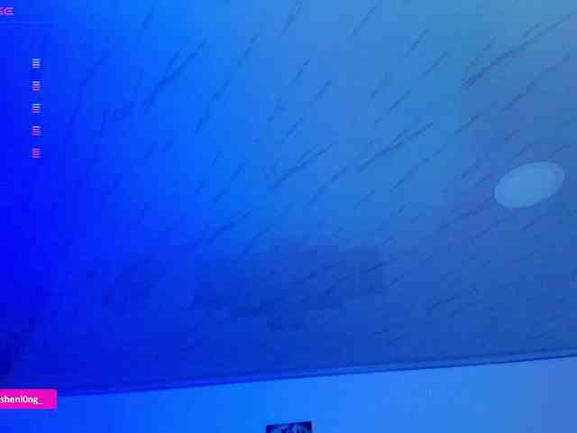 Nicorobin webcam