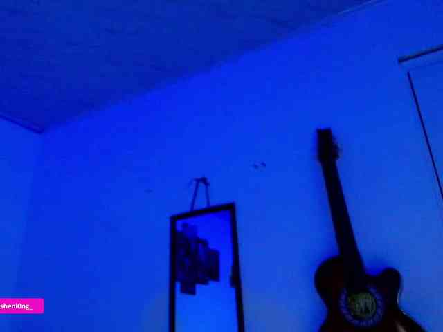 Nicorobin webcam