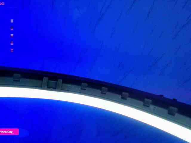 Nicorobin webcam