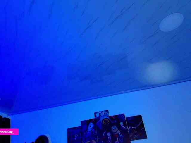 Nicorobin webcam
