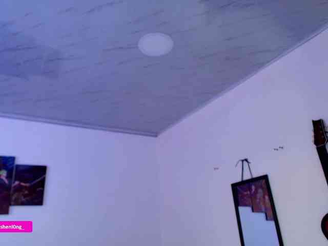 Nicorobin webcam