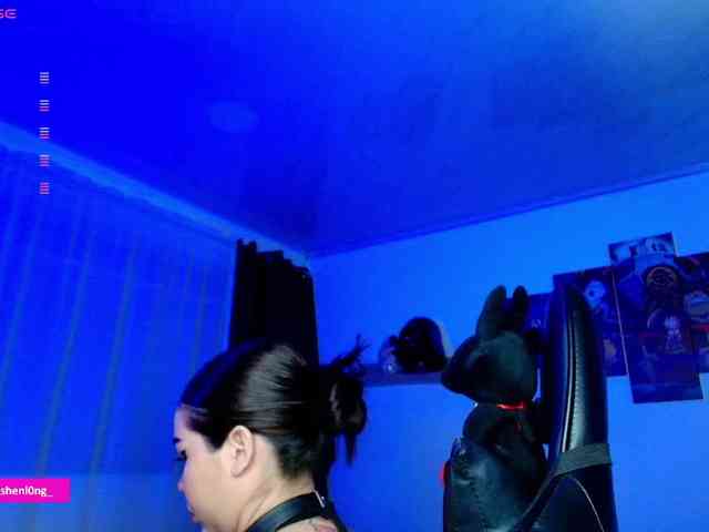 Nicorobin webcam