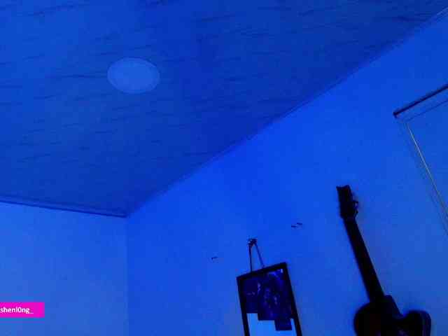 Nicorobin webcam