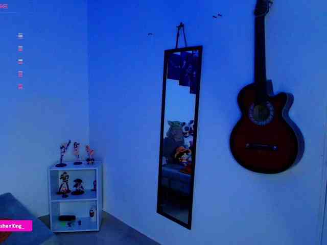 Nicorobin webcam