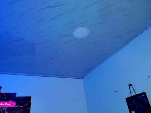 Nicorobin webcam