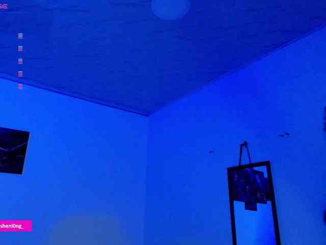 Nicorobin webcam