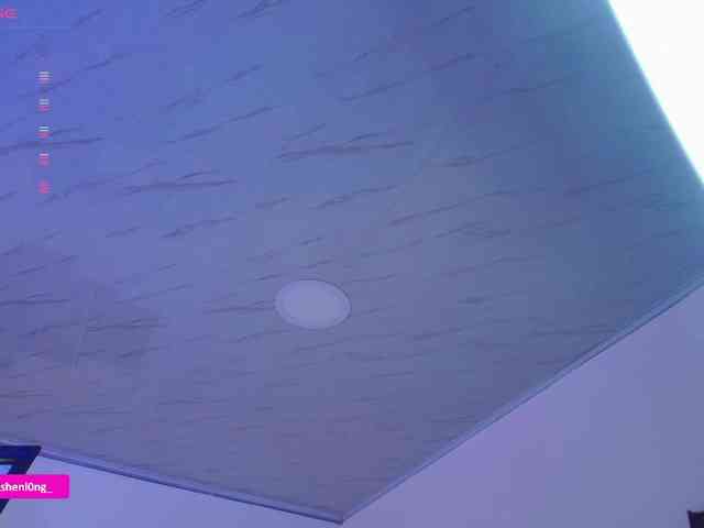 Nicorobin webcam