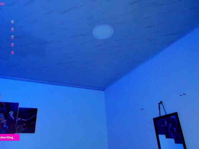 Nicorobin webcam
