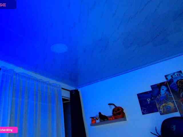 Nicorobin webcam