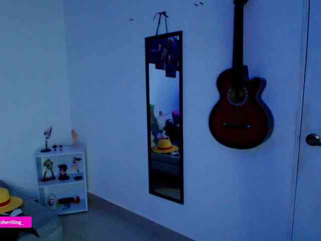 Nicorobin webcam