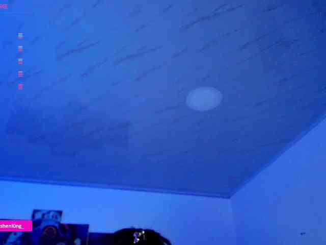 Nicorobin webcam