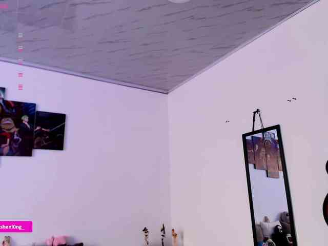 Nicorobin webcam