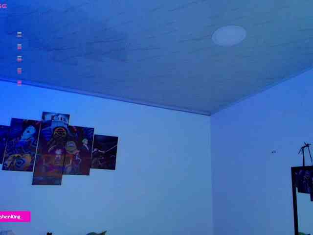 Nicorobin webcam