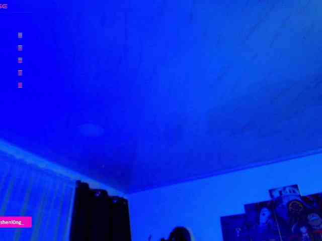 Nicorobin webcam
