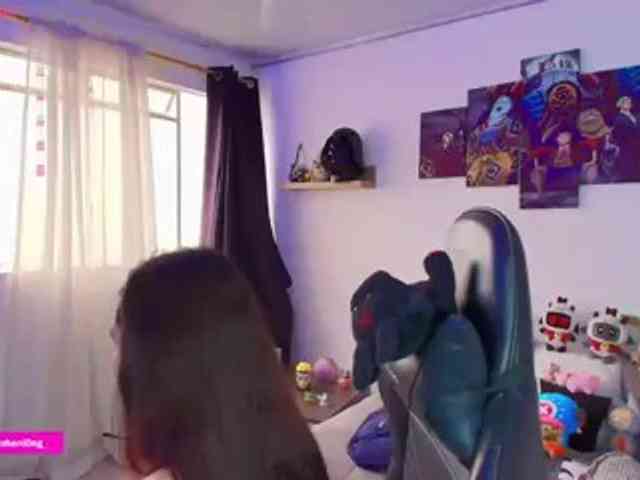 Nicorobin webcam