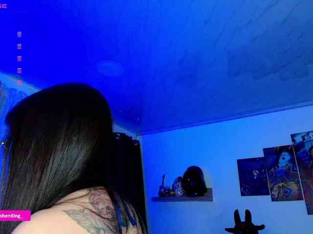 Nicorobin webcam