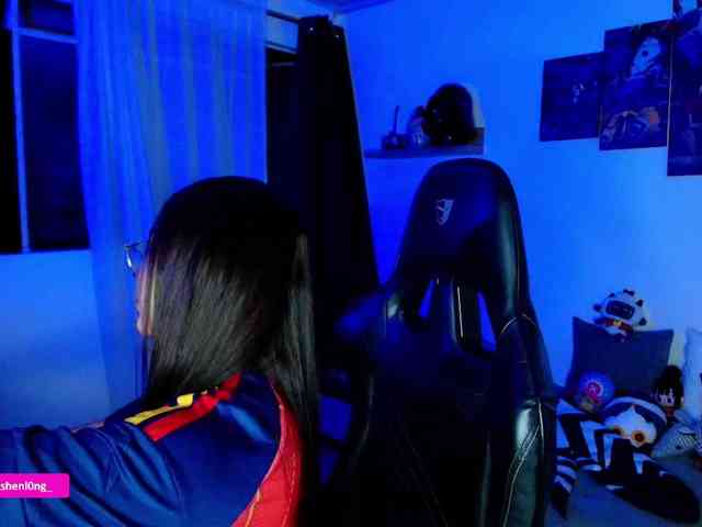 Nicorobin webcam