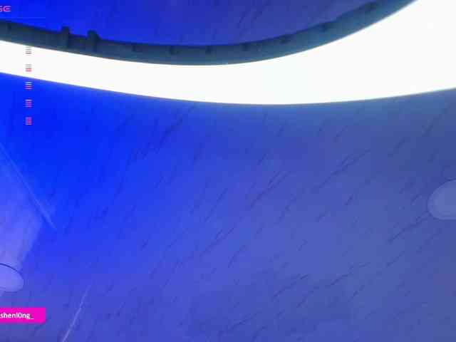 Nicorobin webcam