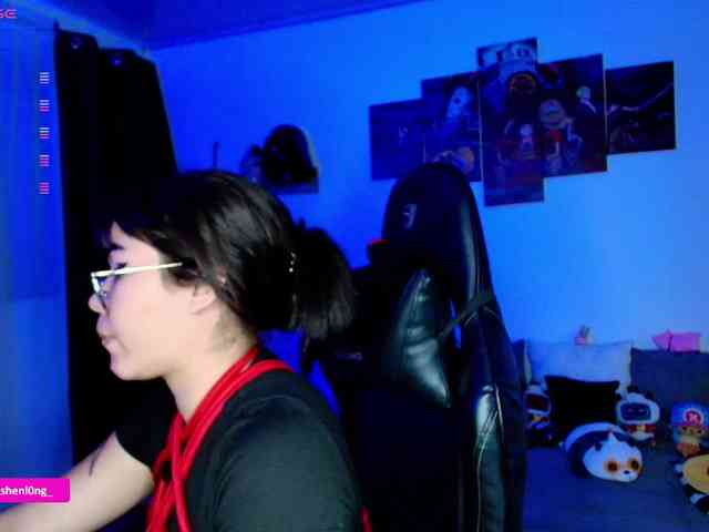 Nicorobin webcam