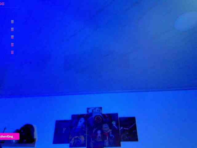 Nicorobin webcam