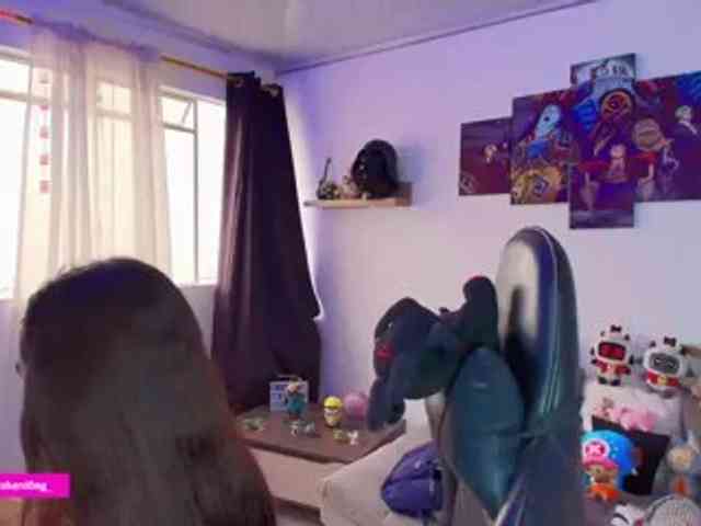 Nicorobin webcam