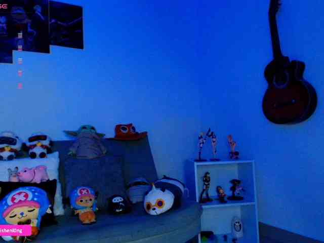 Nicorobin webcam