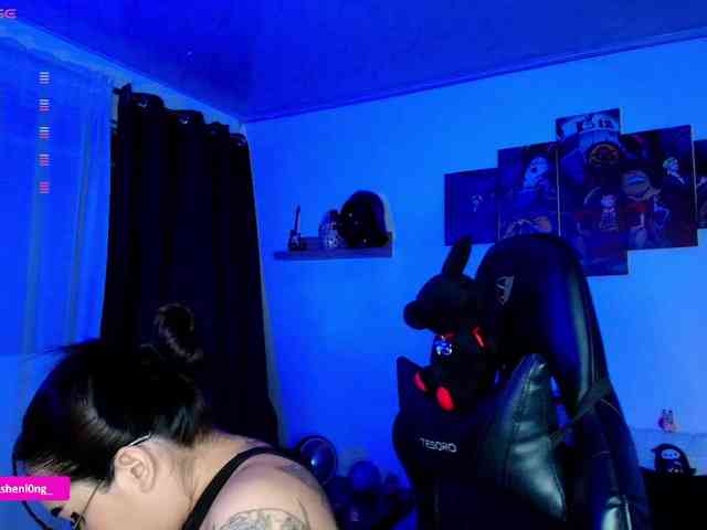 Nicorobin webcam