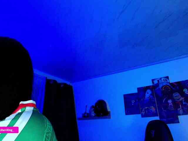 Nicorobin webcam