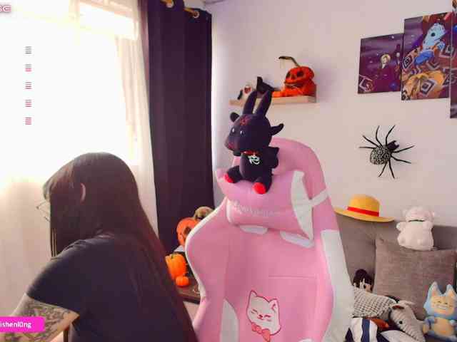 Nicorobin webcam