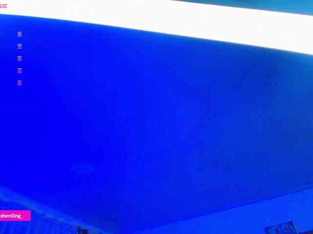 Nicorobin webcam