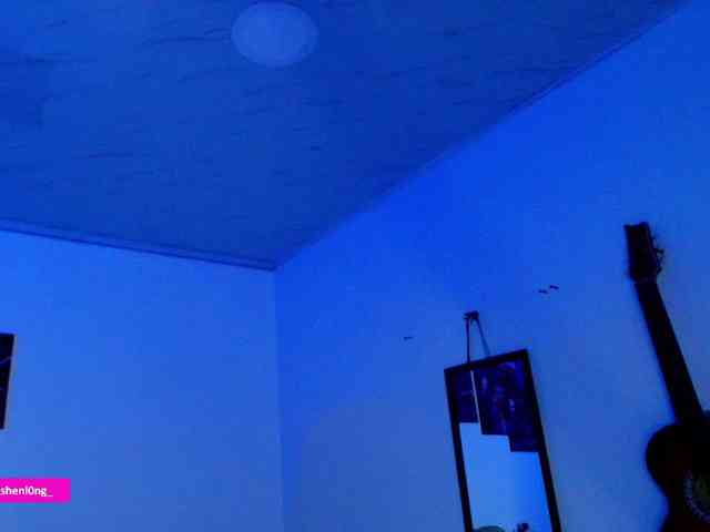 Nicorobin webcam