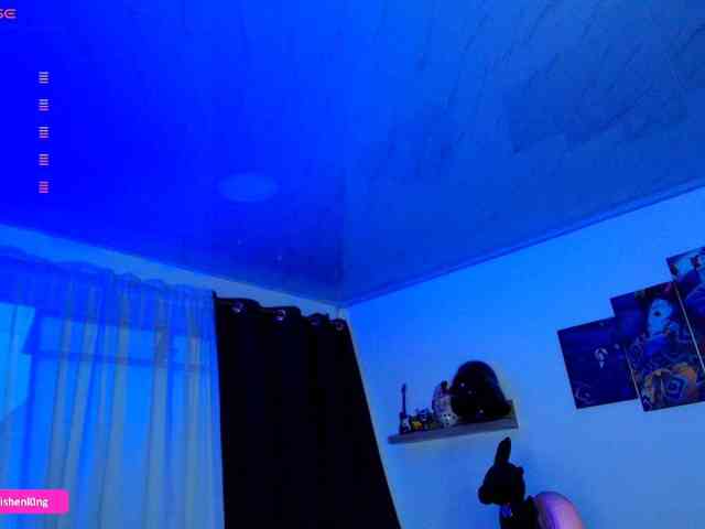 Nicorobin webcam