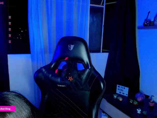 Nicorobin webcam