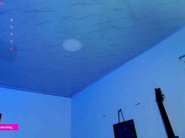 Nicorobin webcam