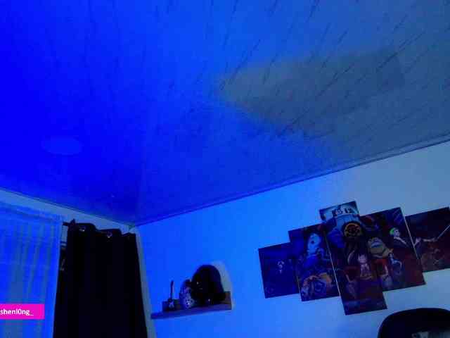 Nicorobin webcam