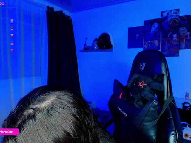 Nicorobin webcam