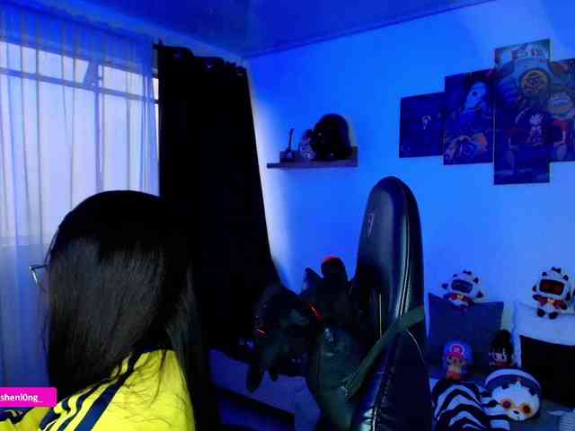 Nicorobin webcam