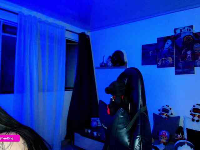 Nicorobin webcam