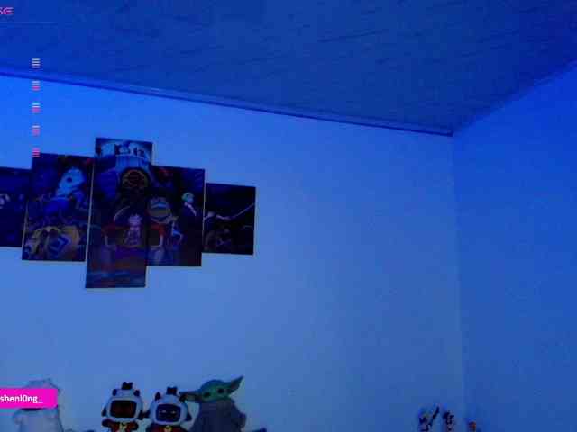 Nicorobin webcam