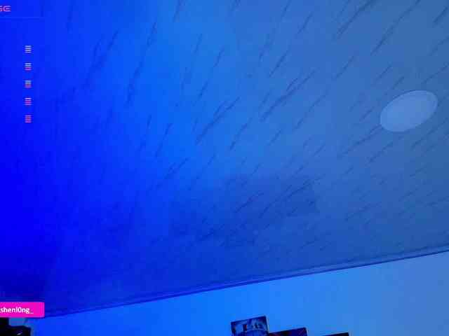 Nicorobin webcam